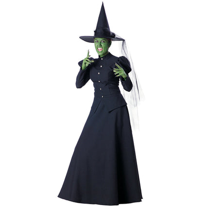 Adult Wicked Witch Costume