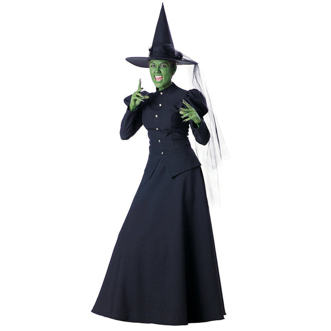 Adult Wicked Witch Costume