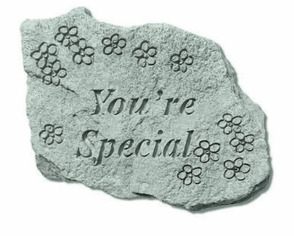 You're Special Engraved Stone