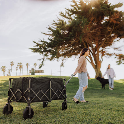 Wilderness Collapsible Folding Wagon